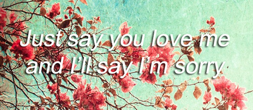 mayday parade stay lyrics tumblr