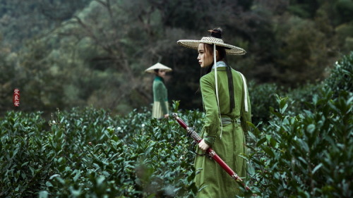 hanfugallery:Traditional Chinese hanfu. Artistic photography...