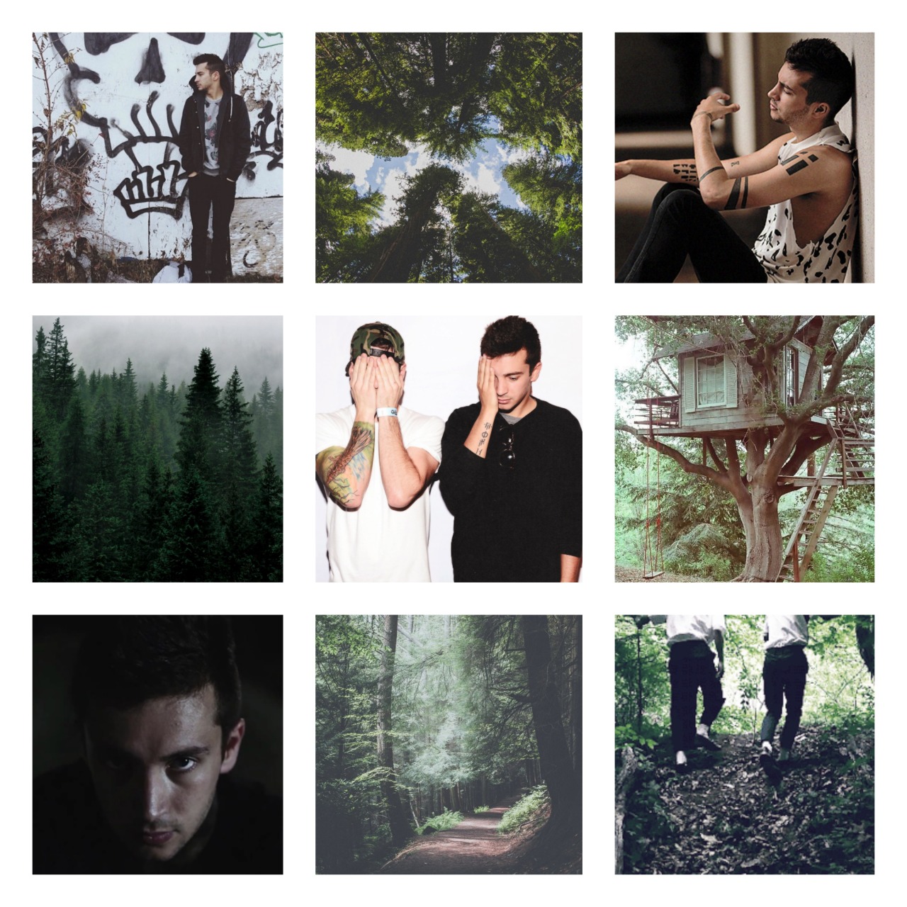 Stay forest. Форест фик twenty one Pilots.