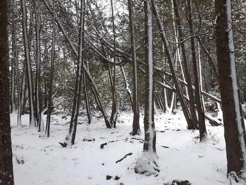 thosewhocando:Bruce Peninsula National Park