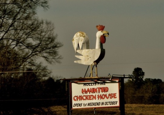 Haunted Chicken House Tumblr