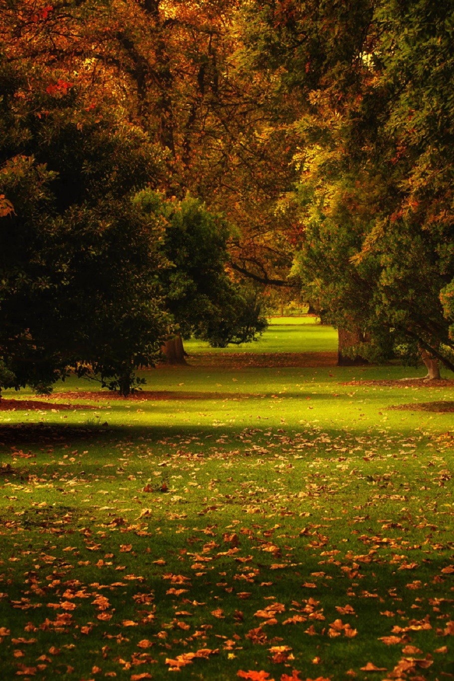 Ponderation — sublim-ature: Adelaide Botanical Gardens, South...