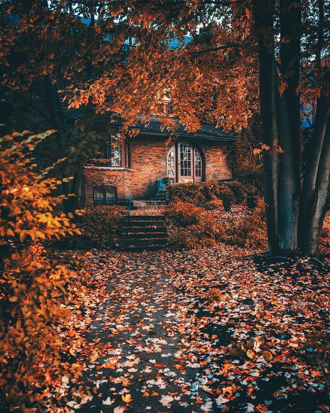 Autumn Cozy