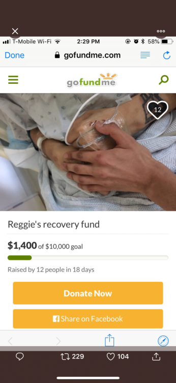 zanabism:zanabism:https://www.gofundme.com/reggie039s-recovery...