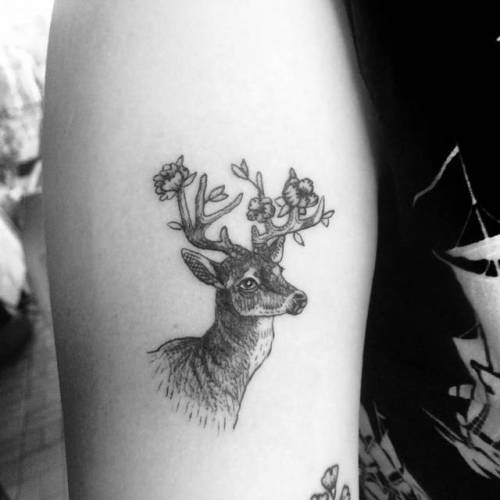 By Alexandyr Valentine, done at The Painted Lady Tattoo Studio,... small;single needle;bicep;deer;animal;facebook;twitter;alexandyrvalentine;illustrative