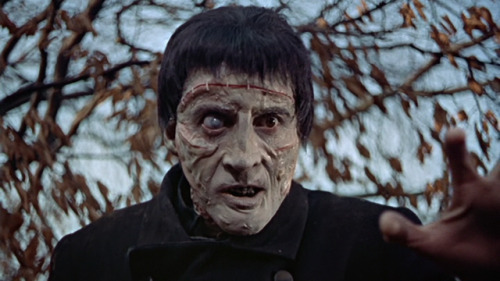 fandomsthatkandiceloves:The Curse of Frankenstein (1957)