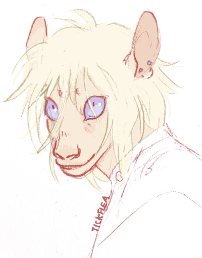 random drow showcasing the fact that there is very little difference between how i draw elves and gelfling