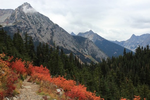 burningmine:Heather-Maple Pass, October 2018