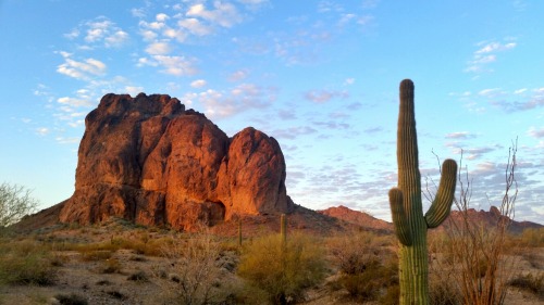 Explore the desert southwest this week with... | My Public Lands