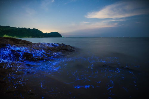 archatlas:The Weeping StonesPhotographed off the coast of...