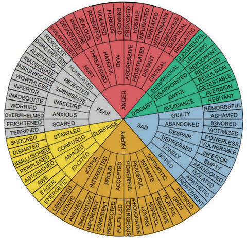 Script Shrink — Emotion Wheel