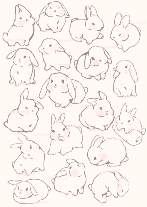 azolitmin:practicing rabbits for a future project! 