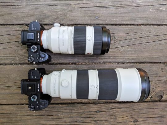 REVIEW: Lente Telefoto Sony FE 200-600 F/5.6-6.3 G OSS