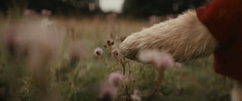 filmframesforlife:Christopher Robin (2018)