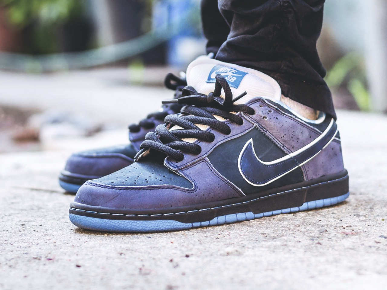 Concepts x Nike SB Dunk Low ‘Blue Lobster’ - 2009... – Sweetsoles ...