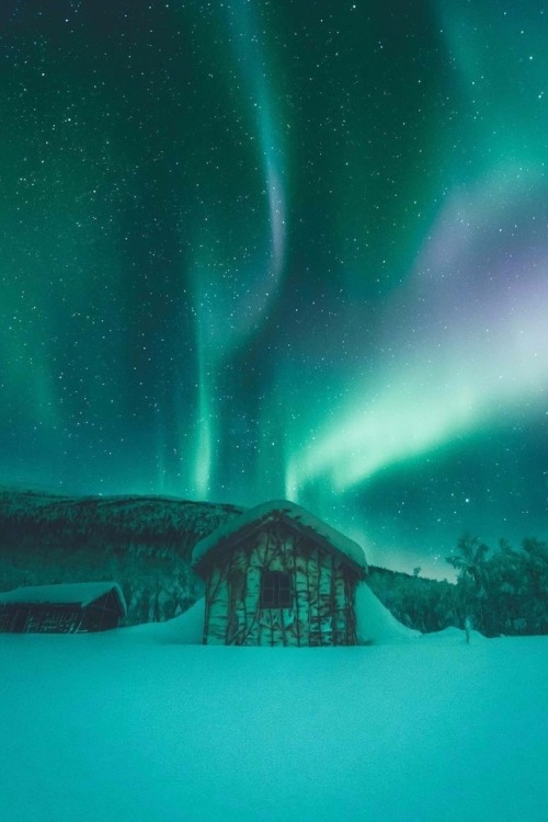 maureen2musings:The northern lights dancing over a 100 Year old...