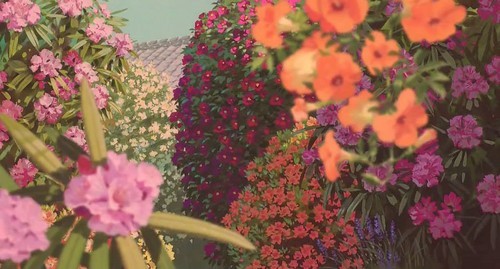 Studio Ghibli ☆ - Flowers