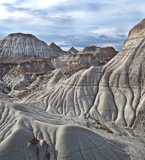 cloudair-paleontology:cloudair:One of the Biggest Ones...