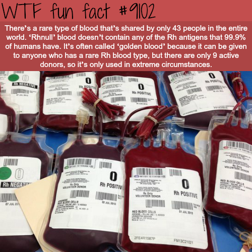 wtf-fun-factss:Rarest blood type - WTF fun fact