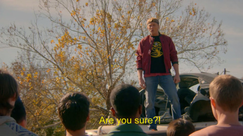 cobrakaiseriesfan:Cobra Kai seriesJohnny and the struggles of...