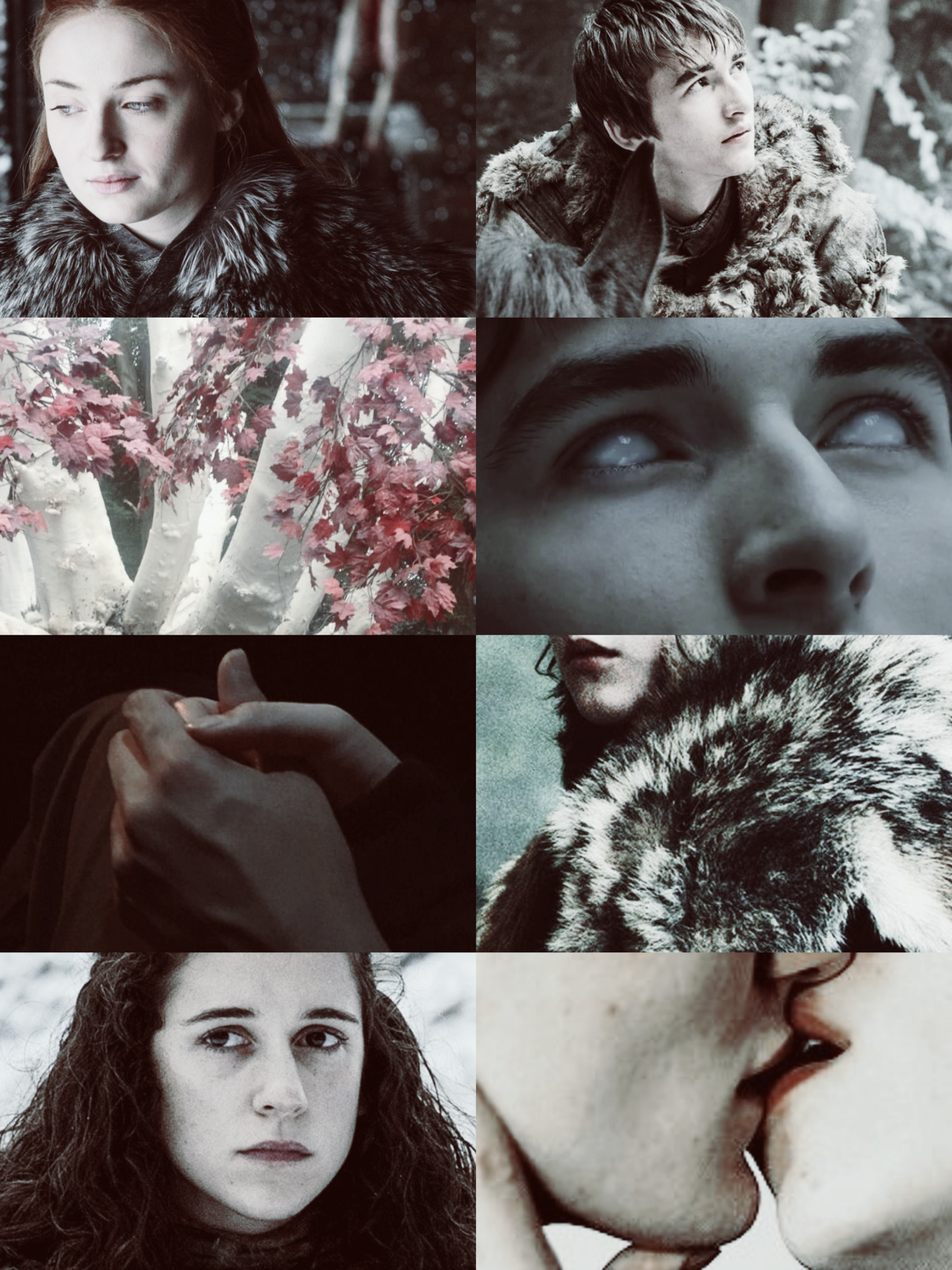 Bran sat at the table of the main hall, <b>Sansa</b> to one side and Maester Wolka...