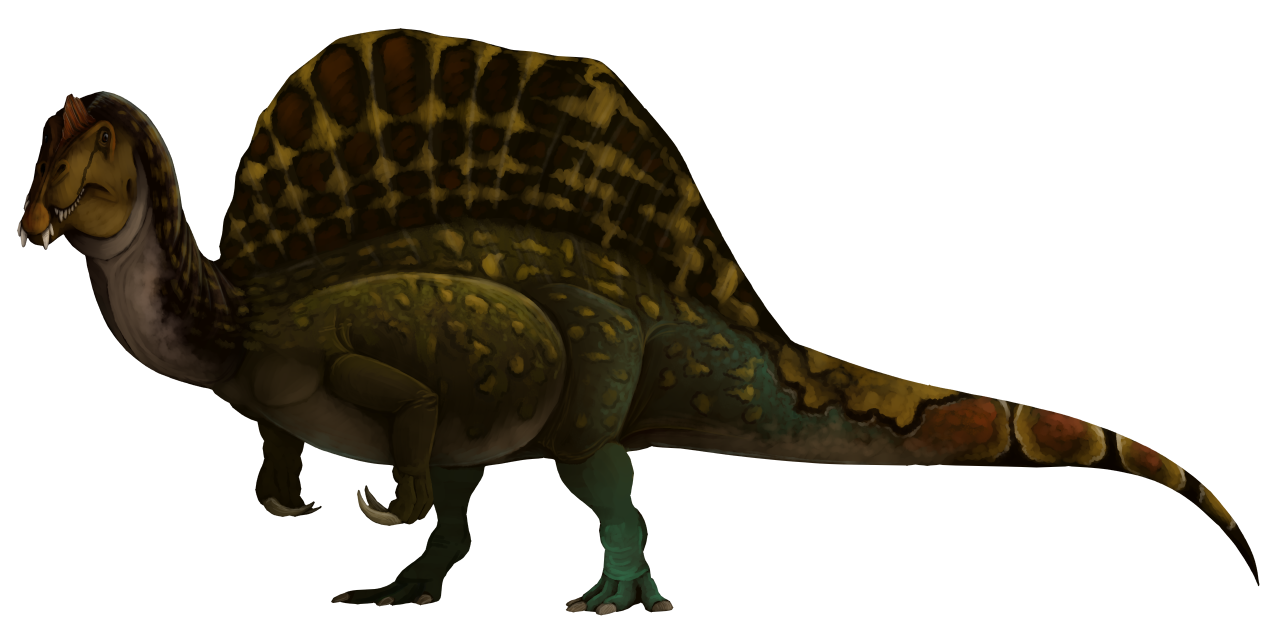 african spinosaurus