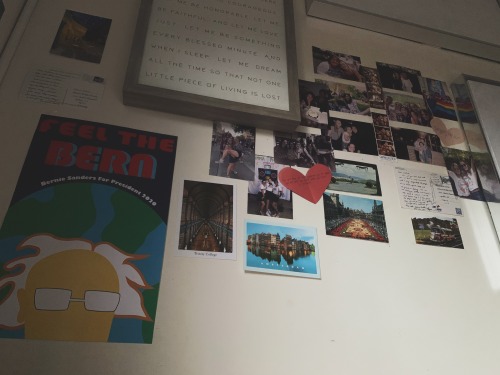 delciastudies