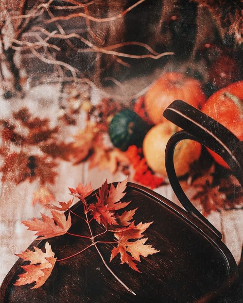 autumncozy:By natallidecor