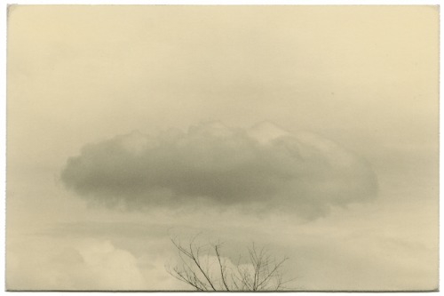 .
“Una gota de luz cae
por la grieta del cielo gris
en la primera florecilla de primavera.”
“ Abbas Kiarostami. Compañero del viento.
”