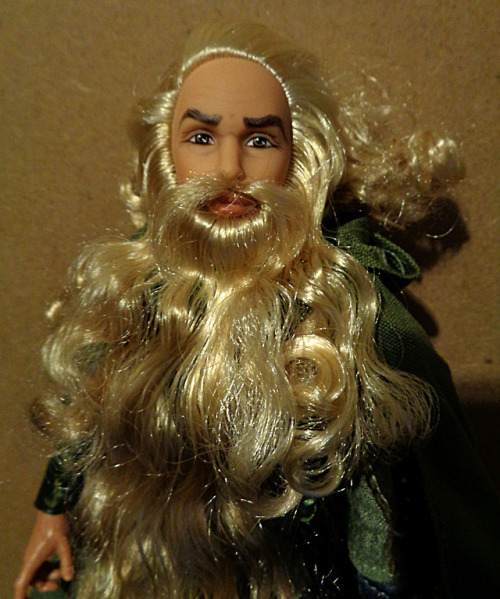 barbie with beard