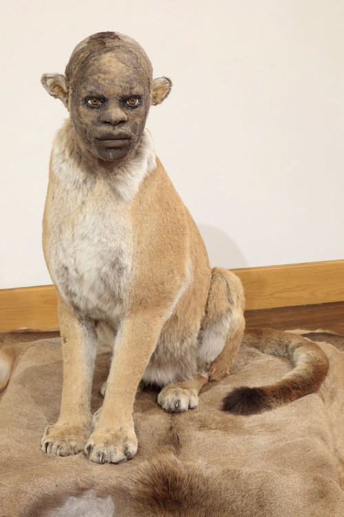 unexplained-events:Kate Clark’s Twist on TaxidermyKate Clark,...