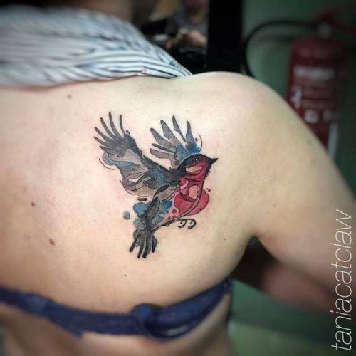 By Tania Catclaw, done at El Diablo Tattoo Club, Lisboa.... sketch work;robin;animal;watercolor;bird;facebook;shoulder blade;twitter;medium size;taniacatclaw