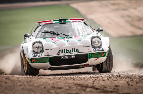 carpr0n:Starring: Lancia StratosBy frank hoffmann