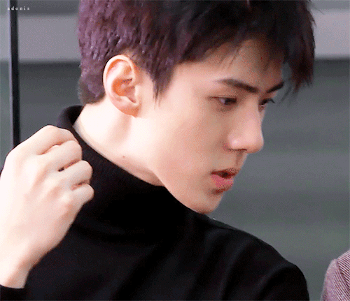 oh sehun sehun busted the criminal is you netflix exo exo l kpop oh sehun gifs gifs: Adonis