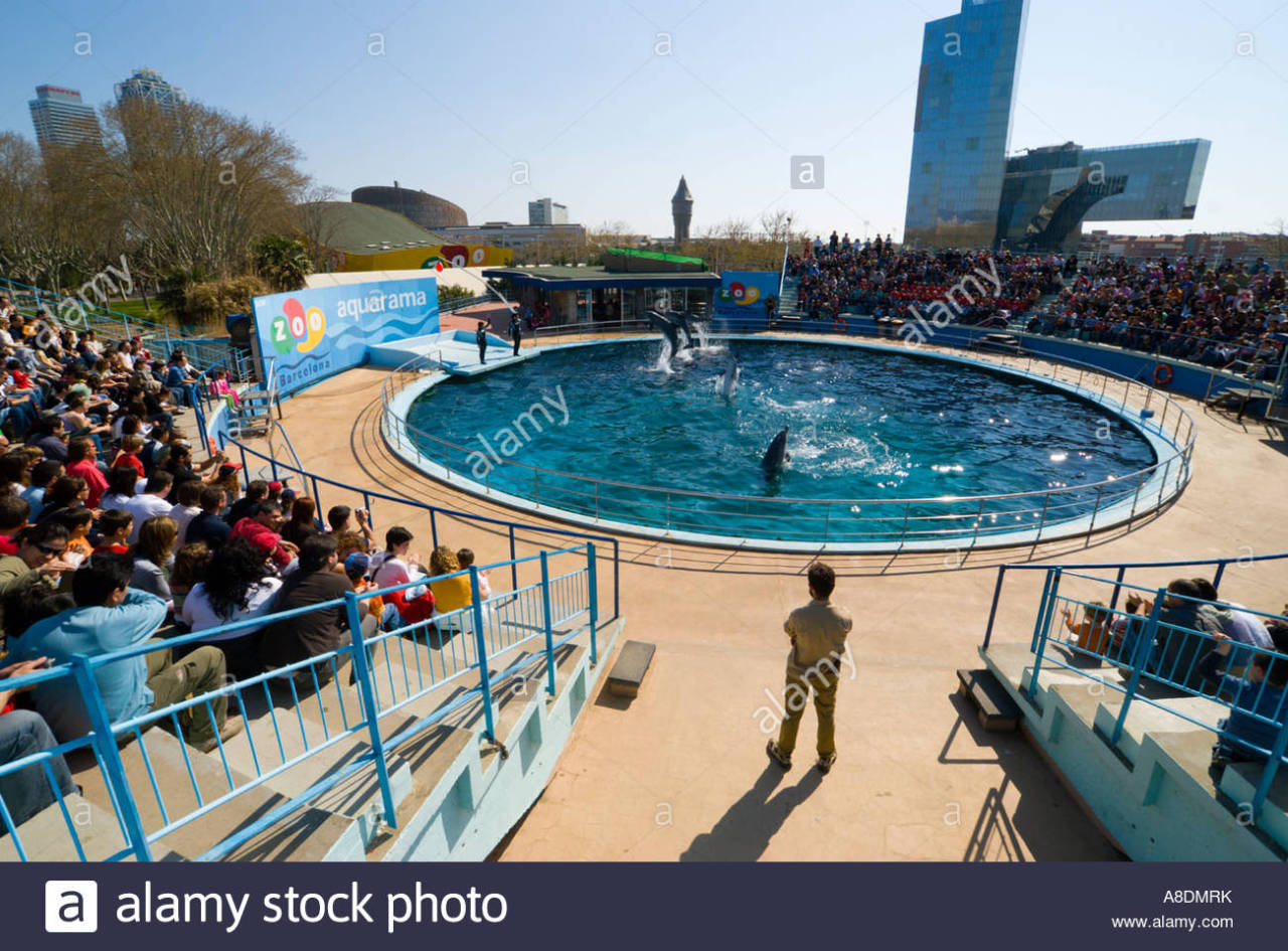 Barcelona Zoo Aquarama, 1968, defunct outdoor tank... - the whale pool