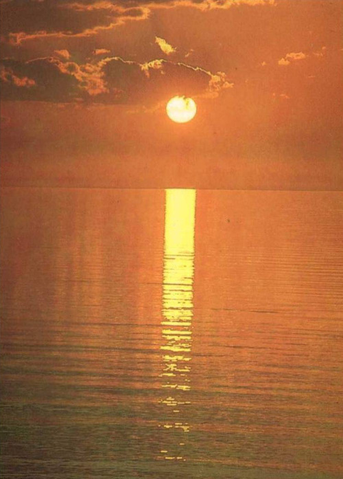 apeninacoquinete:Djerba, coucher de soleil, 1970s