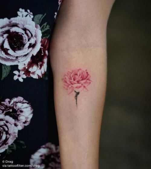 By Drag, done at Bang Bang Tattoo, Manhattan.... peony;flower;small;facebook;nature;twitter;drag;inner forearm;illustrative