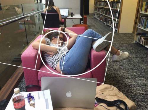 fka-azo:wwinterweb:Photoshop Battle: Asleep at the Campus...