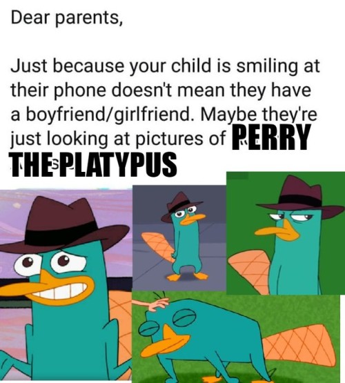 perry the platypus Tumblr.