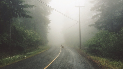 mystic-revelations:Photography By Tyler Forest-Hauser