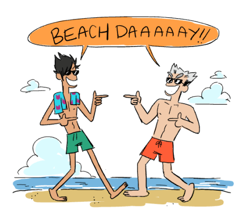 Dumb beach Boys