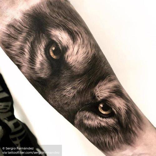 By Sergio Fernández, done in Barcelona. http://ttoo.co/p/35382 animal;big;black and grey;facebook;inner forearm;sergiofernandez;twitter;wolf