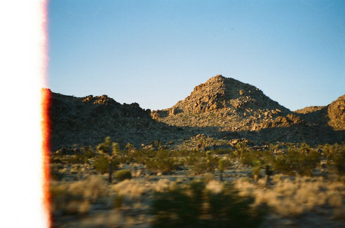 solitudeseeking:Entering the park at dusk