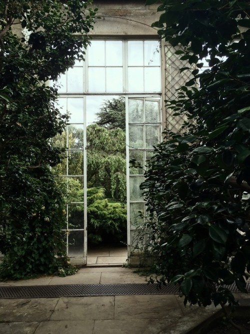 thekinddiaries:Instagram:@thekindiaries // greenhouses are one...