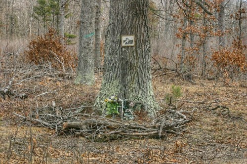 roscommon geels walking hiking pictures memorials
