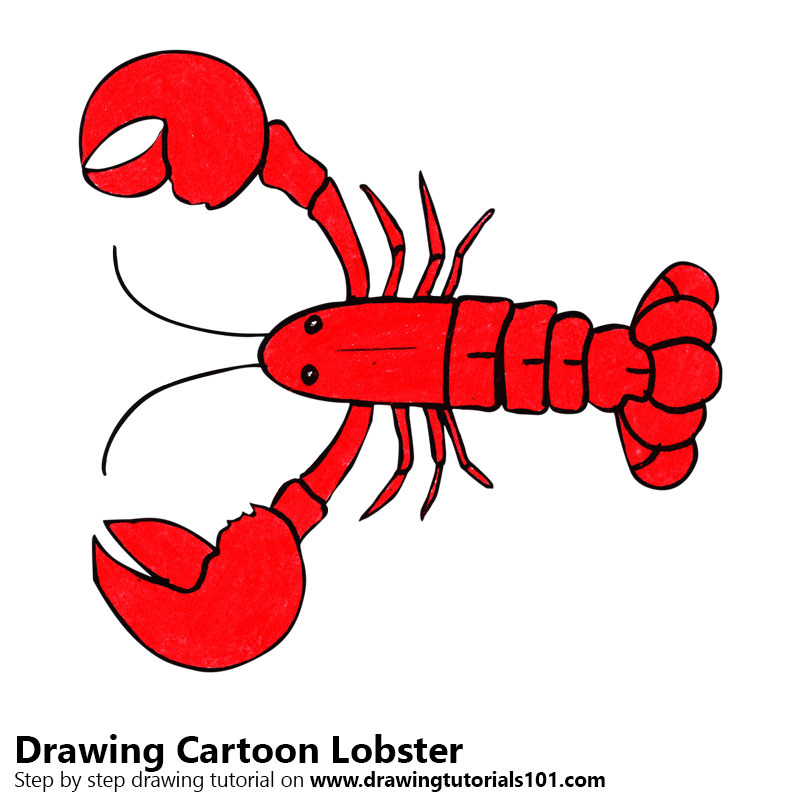 DrawingTutorials101.com • Cartoon Lobster