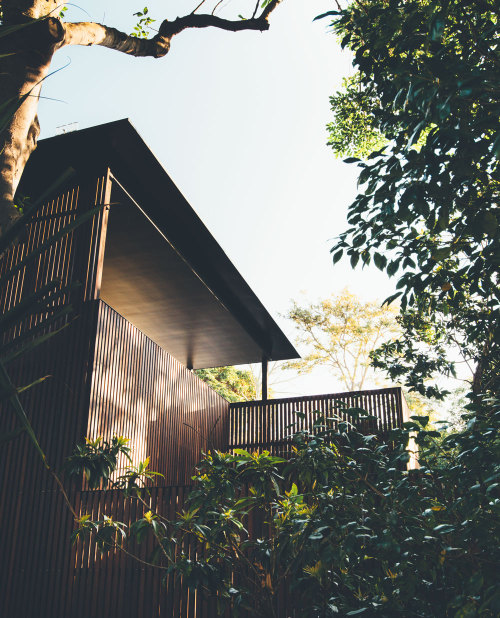 architags:Teeland Architects. Sunday House. Noosa. Australia....