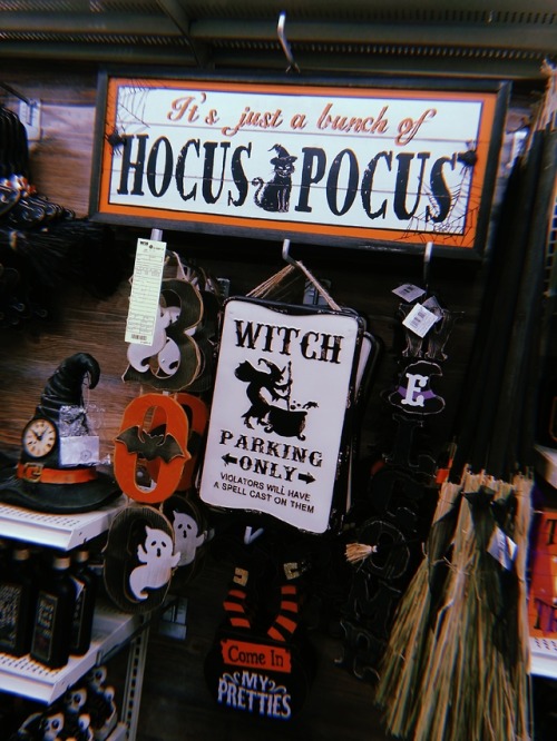 littlewickedthingsx:It’s just a bunch of hocus pocus 