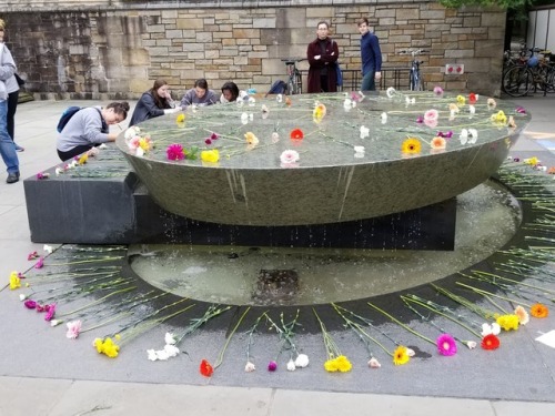 calimarikid:Women’s Table in front of Bienecke Library@ Yale...