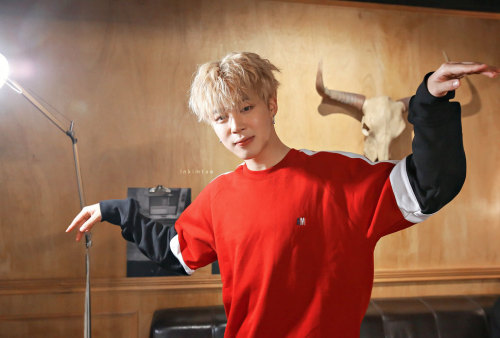 lnkimtae